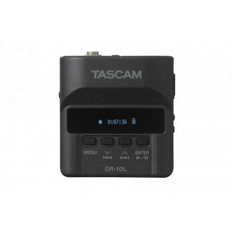 tascam pic dr10l 1